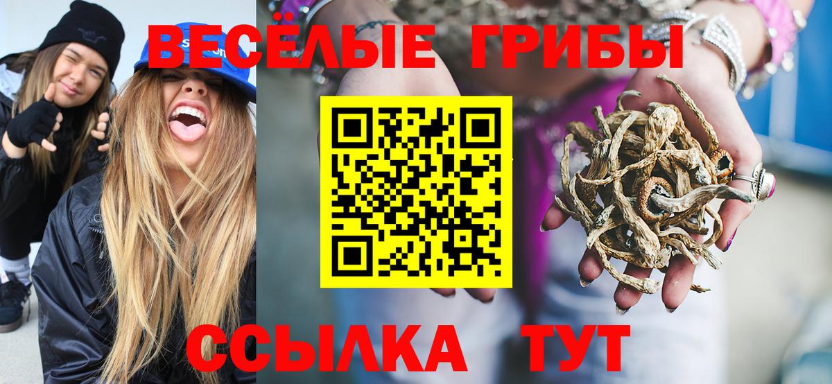 Галлюциногенные грибы Magic Shrooms  Вход с VPN  Мончегорск 